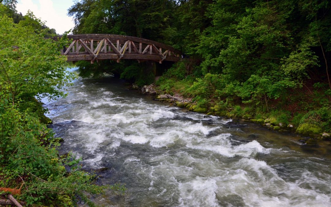 Société Electrique des Forces de l&rsquo;Aubonne